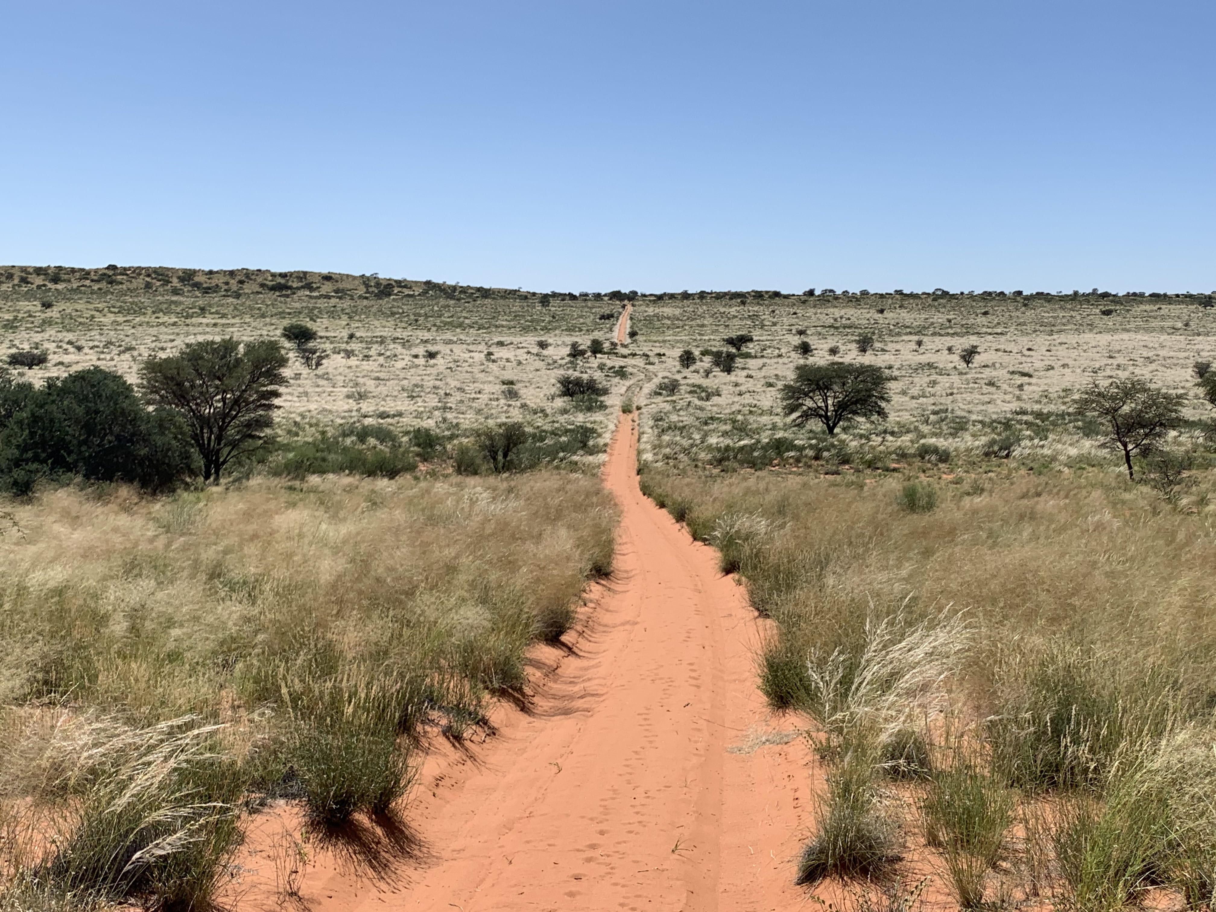 Agricultural property